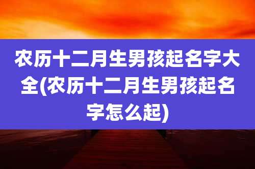 农历十二月生男孩起名字大全(农历十二月生男孩起名字怎么起)