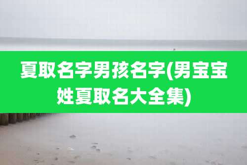 夏取名字男孩名字(男宝宝姓夏取名大全集)