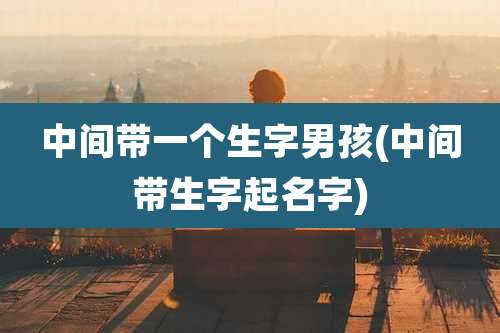 中间带一个生字男孩(中间带生字起名字)