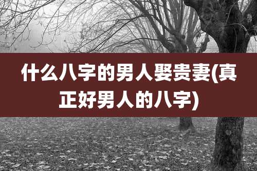 什么八字的男人娶贵妻(真正好男人的八字)