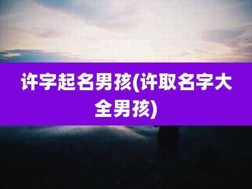 许字起名男孩(许取名字大全男孩)