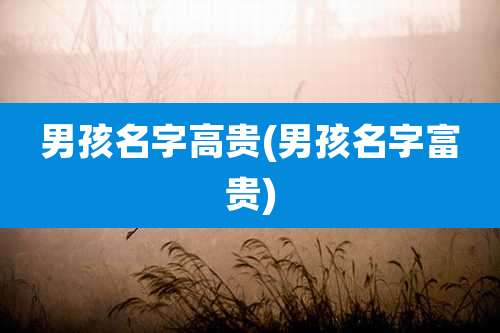 男孩名字高贵(男孩名字富贵)
