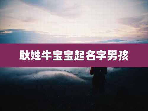 耿姓牛宝宝起名字男孩