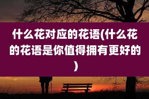 什么花对应的花语(什么花的花语是你值得拥有更好的）