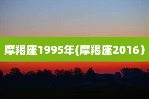 摩羯座1995年(摩羯座2016）