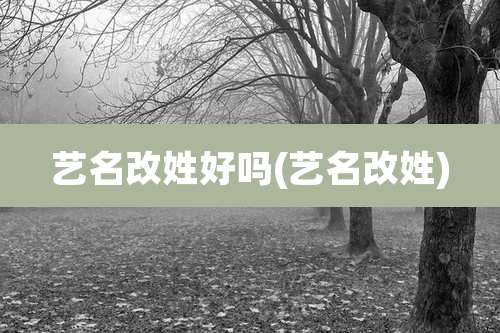 艺名改姓好吗(艺名改姓)