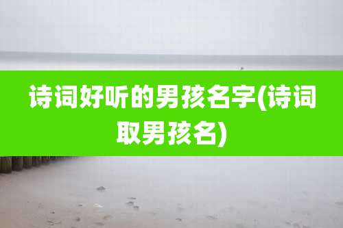 诗词好听的男孩名字(诗词取男孩名)