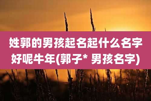 姓郭的男孩起名起什么名字好呢牛年(郭子* 男孩名字)