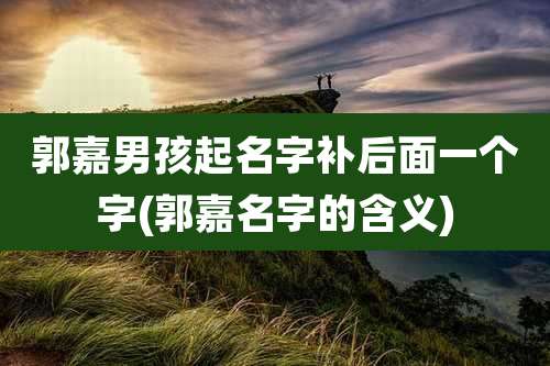 郭嘉男孩起名字补后面一个字(郭嘉名字的含义)