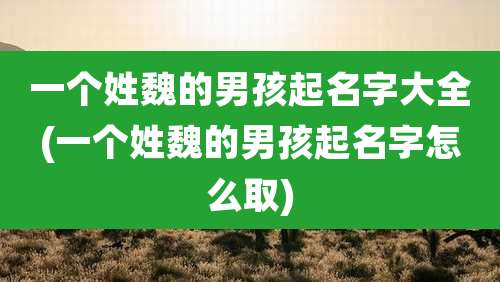 一个姓魏的男孩起名字大全(一个姓魏的男孩起名字怎么取)