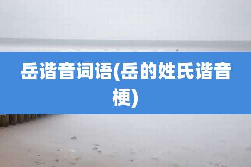 岳谐音词语(岳的姓氏谐音梗)