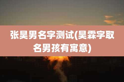 张昊男名字测试(昊霖字取名男孩有寓意)
