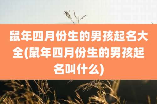 鼠年四月份生的男孩起名大全(鼠年四月份生的男孩起名叫什么)