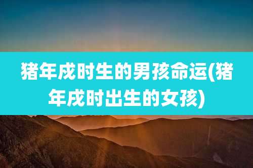 猪年戍时生的男孩命运(猪年戌时出生的女孩)