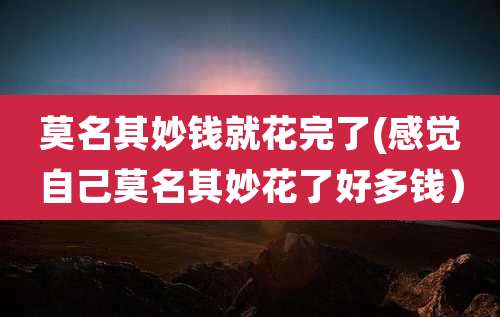 莫名其妙钱就花完了(感觉自己莫名其妙花了好多钱)