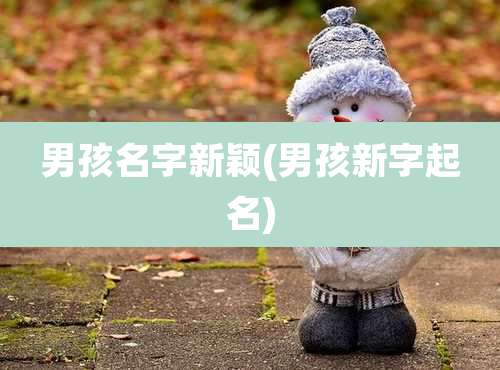 男孩名字新颖(男孩新字起名)