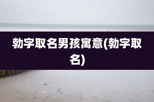 勃字取名男孩寓意(勃字取名)