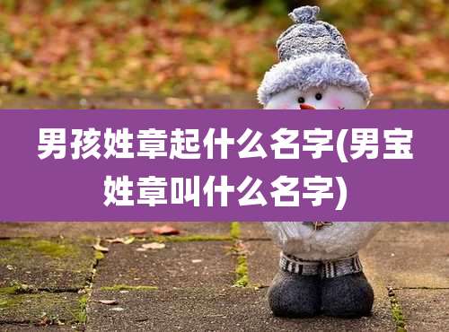 男孩姓章起什么名字(男宝姓章叫什么名字)