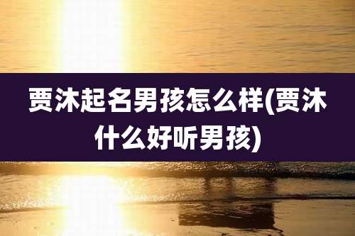 贾沐起名男孩怎么样(贾沐什么好听男孩)