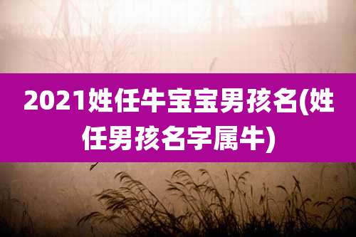 2021姓任牛宝宝男孩名(姓任男孩名字属牛)