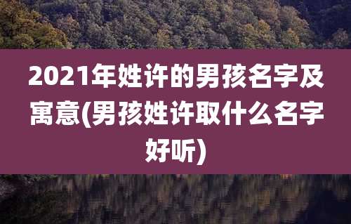 2021年姓许的男孩名字及寓意(男孩姓许取什么名字好听)