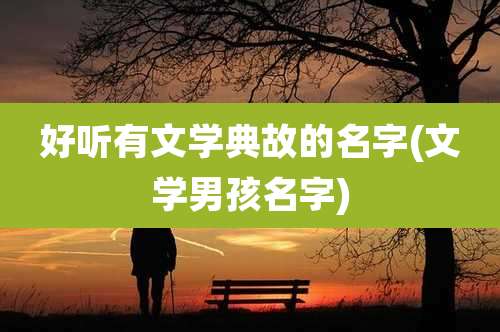 好听有文学典故的名字(文学男孩名字)