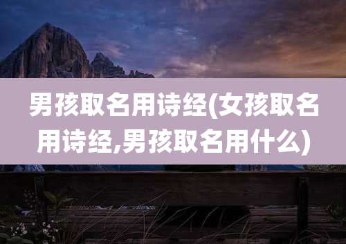 男孩取名用诗经(女孩取名用诗经,男孩取名用什么)