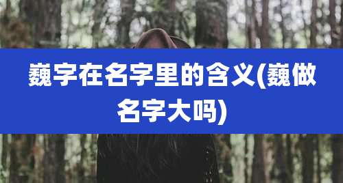 巍字在名字里的含义(巍做名字大吗)