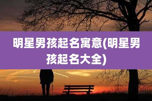 明星男孩起名寓意(明星男孩起名大全)