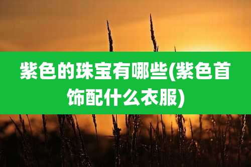 紫色的珠宝有哪些(紫色首饰配什么衣服)