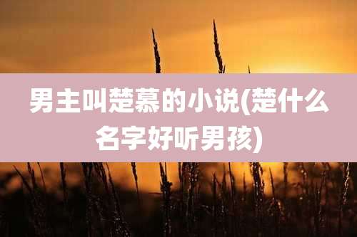 男主叫楚慕的小说(楚什么名字好听男孩)