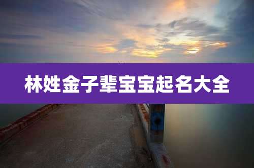 林姓金子辈宝宝起名大全