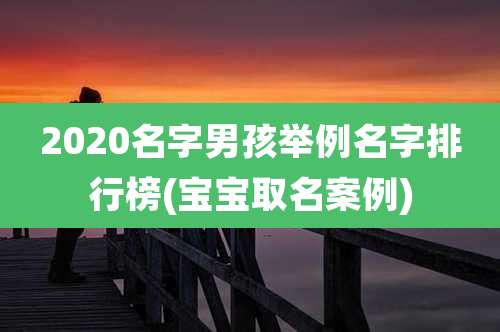 2020名字男孩举例名字排行榜(宝宝取名案例)