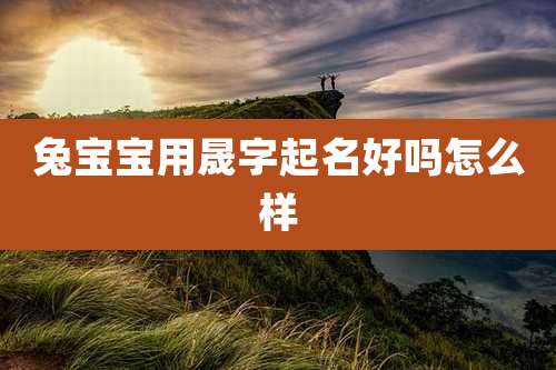 兔宝宝用晟字起名好吗怎么样