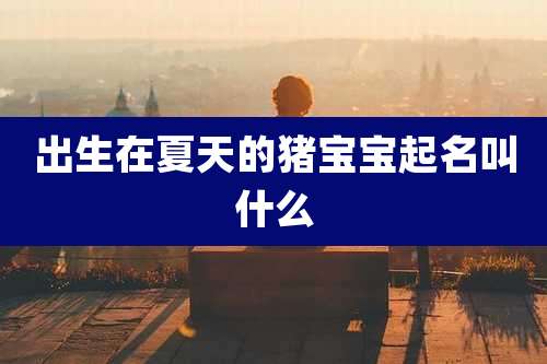 出生在夏天的猪宝宝起名叫什么