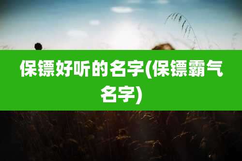 保镖好听的名字(保镖霸气名字)