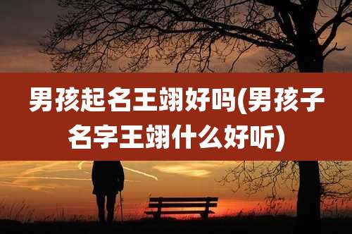 男孩起名王翊好吗(男孩子名字王翊什么好听)