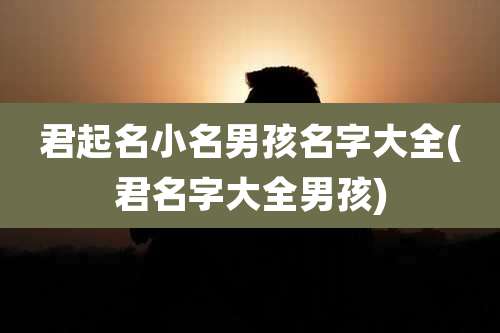 君起名小名男孩名字大全(君名字大全男孩)
