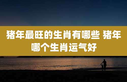 猪年最旺的生肖有哪些 猪年哪个生肖运气好