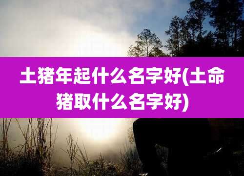 土猪年起什么名字好(土命猪取什么名字好)