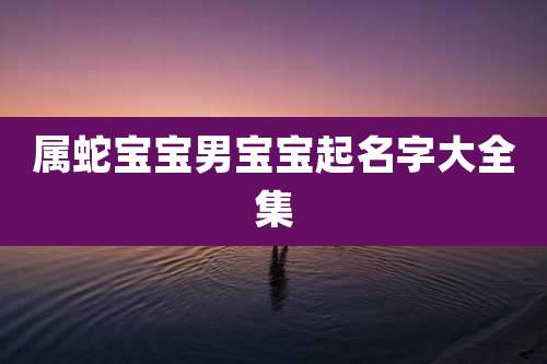 属蛇宝宝男宝宝起名字大全集