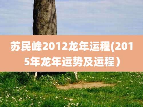 苏民峰2012龙年运程(2015年龙年运势及运程)