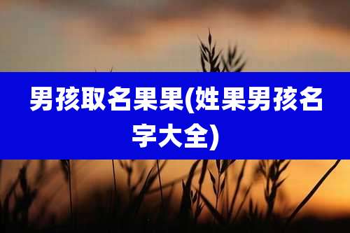 男孩取名果果(姓果男孩名字大全)