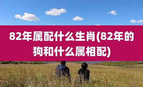 82年属配什么生肖(82年的狗和什么属相配)