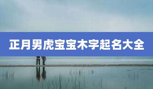 正月男虎宝宝木字起名大全