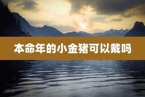 本命年的小金猪可以戴吗