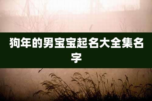 狗年的男宝宝起名大全集名字