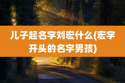 儿子起名字刘宏什么(宏字开头的名字男孩)