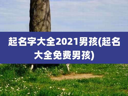起名字大全2021男孩(起名大全免费男孩)