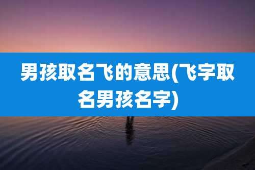 男孩取名飞的意思(飞字取名男孩名字)
